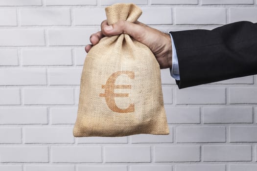 Hand holding a sack of money and white brick background