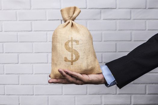 Hand holding a sack of money and white brick background