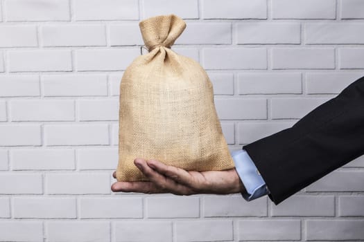 Hand holding a sack of money and white brick background