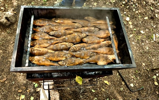 finished smoked fish is in the smoker, over the fish of the curls of fragrant smoke