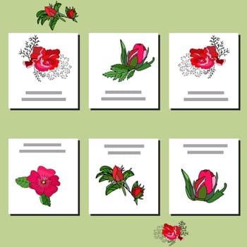 Collection of six cards design. Templates with red roses on white background for your design, greeting cards, festive announcements, posters. Vector.