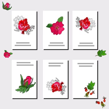 Collection of six cards design. Floral template for your design, greeting cards, festive announcements, posters. Vector.