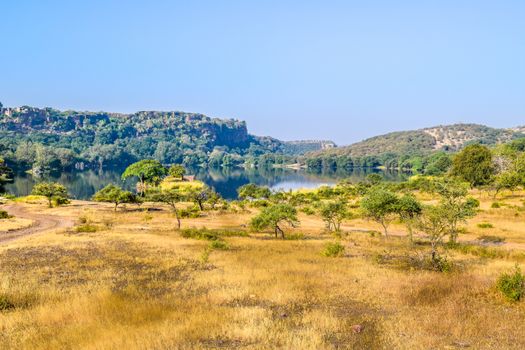 Inside view of RANTHAMBORE National Park, India Asia. As per Tourist group on jungle Safari, extreme danger location of forest for adventure tour. It is protected wildlife sanctuary in northern India.