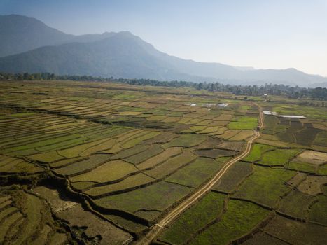 Aerial view of rural landscape in central Nepal. Paddy fields and hills in winter.