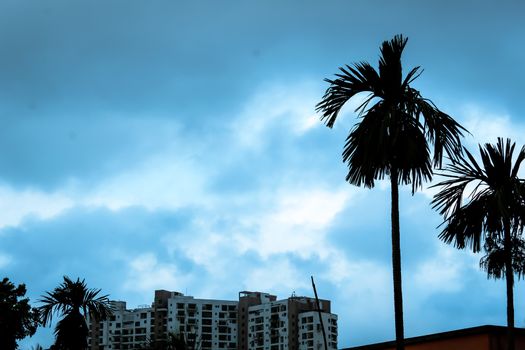 View of City weather just before rain. Focus on tree top and urban city building.