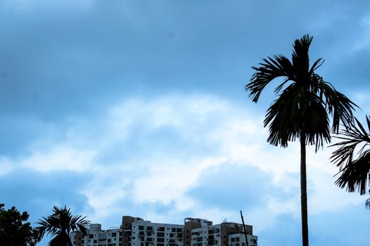 View of City weather just before rain. Focus on tree top and urban city building.