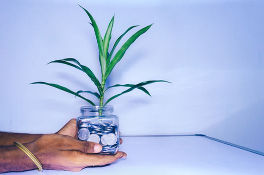 Businessman hand holding a glass jar full of coins on white background. Business Money growth concept. Little green tree leaf grow on many coins. Banking economy and finance investment