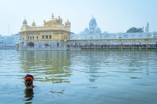 Amritsar, Punjab, India, Asia - MAY 9: Punjabi Sikh pilgrim devotee "Nihang Warrior" taking bath and prayer in pond and meditating in front of Golden Temple ("Harmandir Sahib Darbar Gurudwara")
