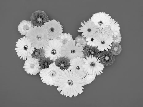 Calendulas and dahlia flowers in a floral heart arrangement on a painted background - monochrome processing