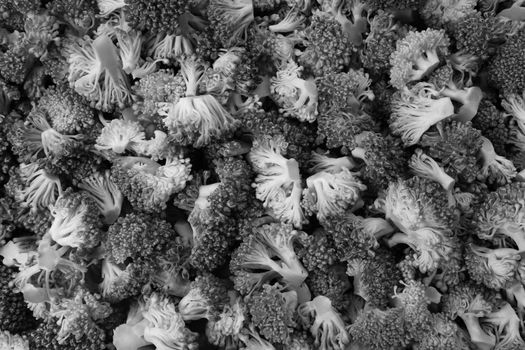 Fresh, raw calabrese broccoli florets as an abstract background texture - monochrome processing