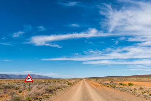 Road landscape in the Tankwa Karoo in the Northern Cape Province. A warning sign is visible