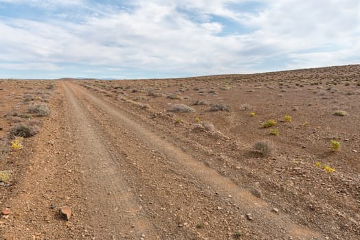 A badly corrugated gravel road in the Tankwa Karoo in the Northern Cape Province of South Africa