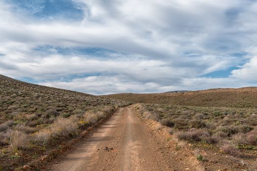 Road landscape in the Tankwa Karoo in the Northern Cape Province of South Africa