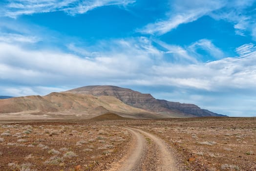 Road landscape in the Tankwa Karoo in the Northern Cape Province of South Africa