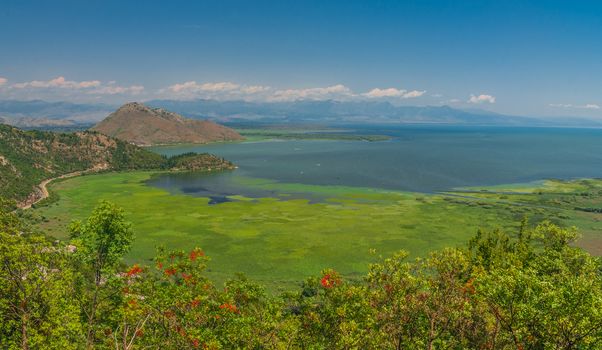 Panoramic view from above of Skadar lake and Crnojevica river in a national park, Montenegro, in a sunny summer day