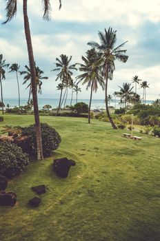 Typical green scene from Hawaii, where vegetation and grass reach the shore line