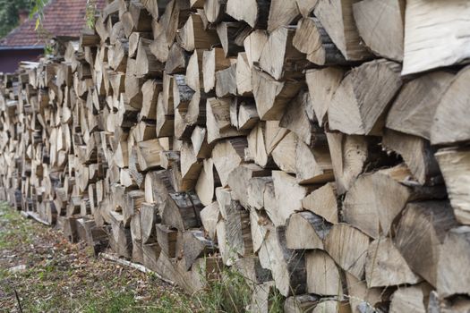 Pile of chopped fire wood in the forest ready for the winter