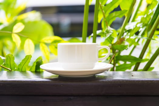 White cup of hot coffee among the nature.