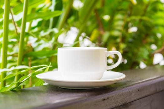 White cup of hot coffee among the nature.