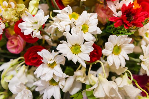 A bouquet of colorful flowers, beautiful flowers background.