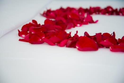 Roses placed on the the bed in wedding day. bridal house