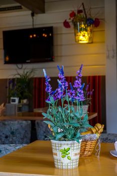 Flower decoration in cafe, Latvia. Flowers in a vase. Cafe interior with flowers. Flower vase decor on the table. 

