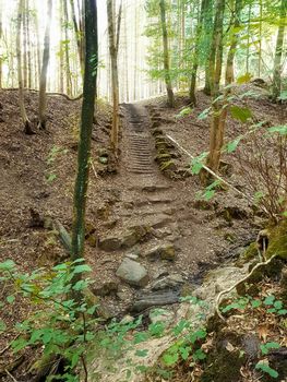 Old stone stairs in the green forest