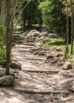 Glacier Creek Trail to Alberta Falls in Rocky Mountain National Park, Colorado