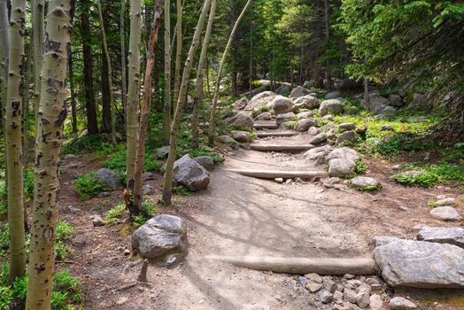 Glacier Creek Trail to Alberta Falls in Rocky Mountain National Park, Colorado