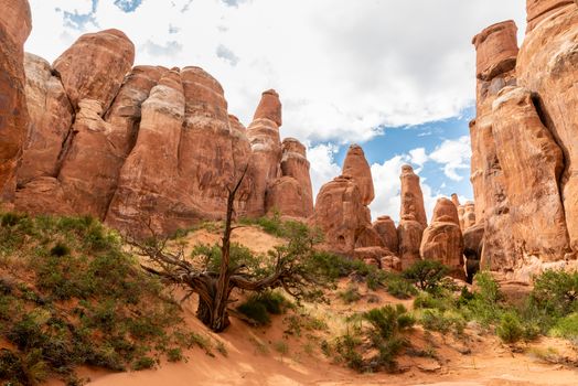 Sandstone formations in Fiery Furnace, Arches National Park, Utah