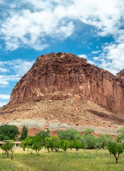 Fruit trees and sandstone formations in Fruita, Capitol Reef National Park, Utah