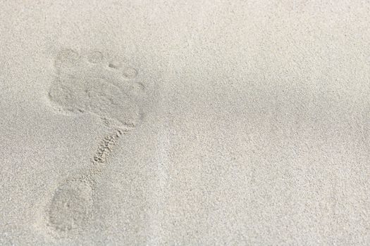 Top view of footprints on sand background, selective focus