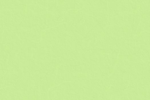 Background of light green cardboard texture