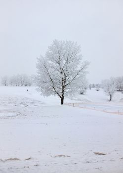 Winter Frost Saskatchewan Canada ice storm danger