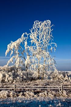 Winter Frost Saskatchewan Canada ice storm danger