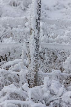 Winter Frost Saskatchewan Canada ice storm danger