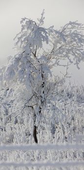 Winter Frost Saskatchewan Canada ice storm danger