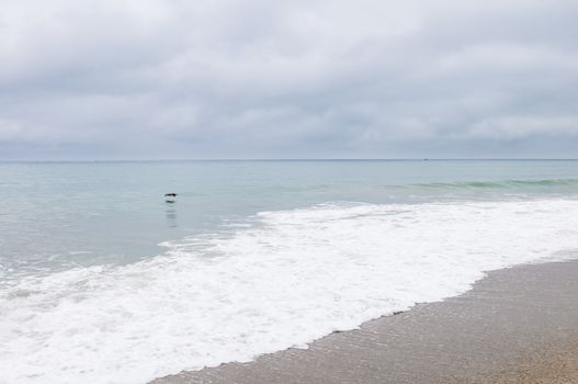 Pacific ocean coastline in Ventura County, California