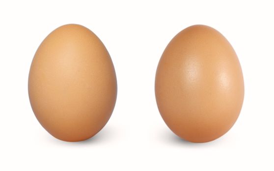 Two brown chicken egg vertical isolated on white background.