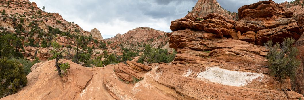 Panorama view from the Canyon Overlook Trail in Zion National Park, Utah