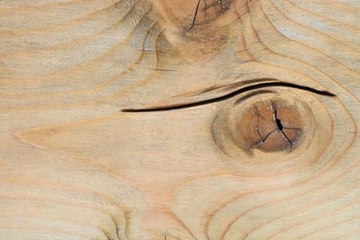 Abstract background, texture of old wood has crack surface, selective focus
