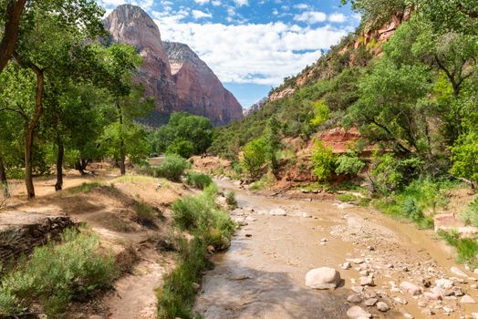 Stream running through canyon floor of Zion National Park, Utah