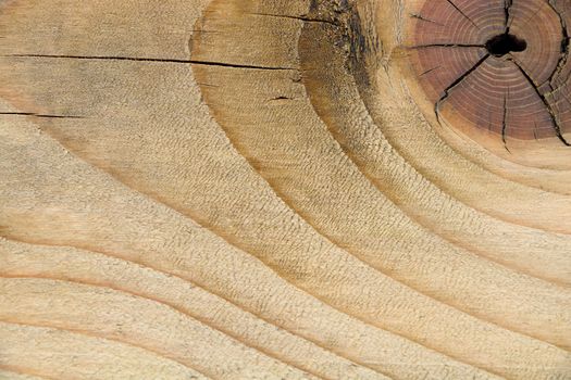 Abstract background, texture of old gnarl wood has rough surface, selective focus