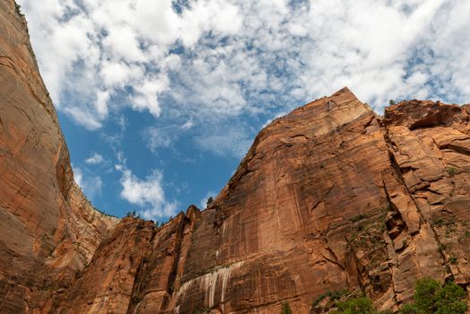 Cliffs in Zion National Park, Utah