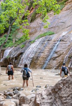 Hikers in the Narrows in Zion National Park, Utah