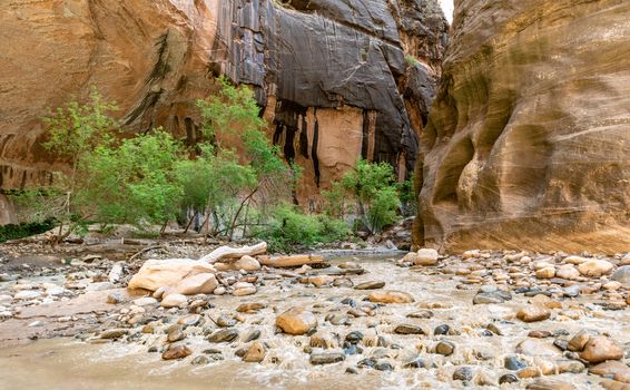 The Narrows in Zion National Park, Utah