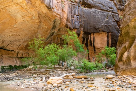 The Narrows in Zion National Park, Utah