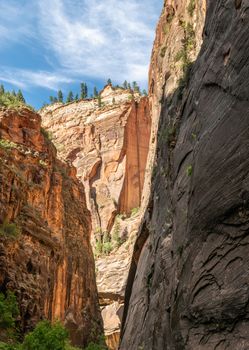 The Narrows in Zion National Park, Utah