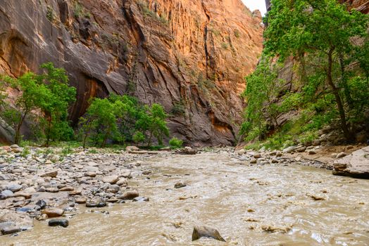 The Narrows in Zion National Park, Utah