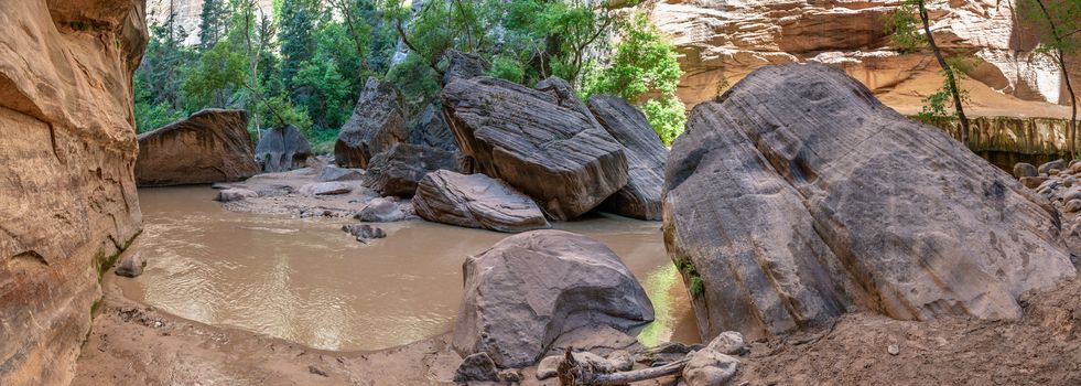 Panorama in the Narrows in Zion National Park, Utah